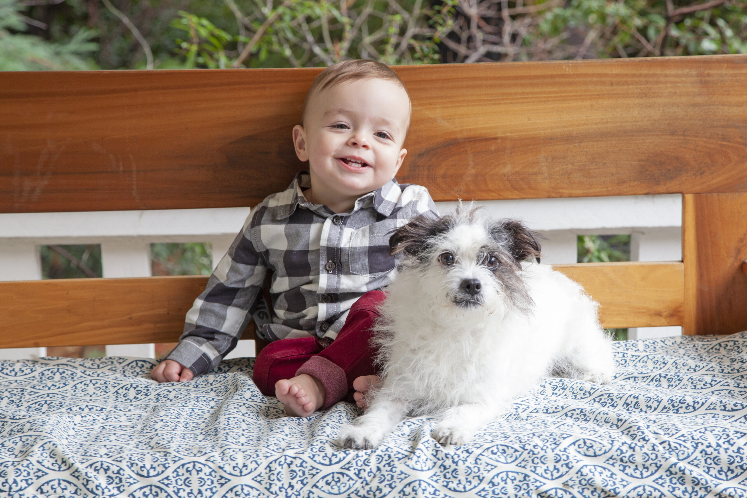 Photo of a baby and a small dog sitting together.